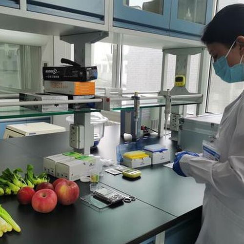 漳州正規圣問技術食品檢驗員考證培訓