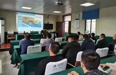 江蘇國網批量采購100臺國產純電動皮卡